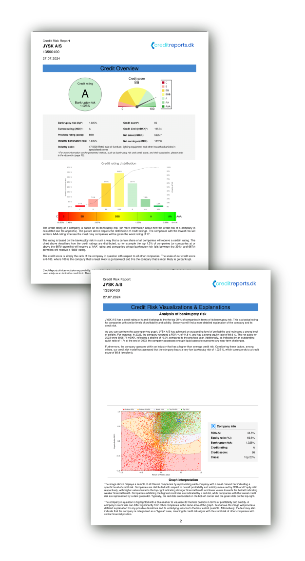Credit Report Example